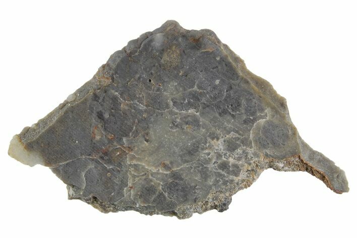 Lunar Meteorite Slice ( g) - NWA #360354